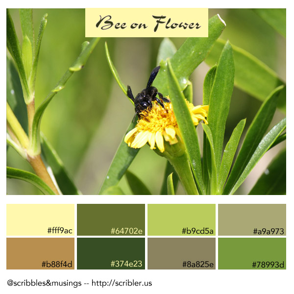 Color Friday – Bee on a Flower (plus a freebie)